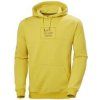 Hoodie Hoodie
