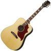 Gibson Hummingbird Studio RW