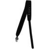 D'Addario Planet Waves 25 SS