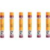 Van Gogh Set of Oil Pastels 6 pcs