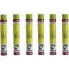 Van Gogh Set of Oil Pastels 6 pcs