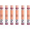 Van Gogh Set of Oil Pastels 6 pcs