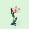 68ee1e3cf64eaedfce73d169 orchidej 1 1 p 3200