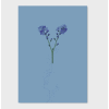 Screenshot 2024 10 13 at 9.17.24