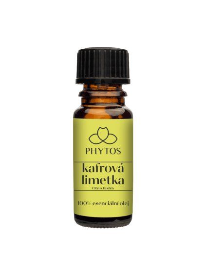 kafrova limetka citrus hystrix 1