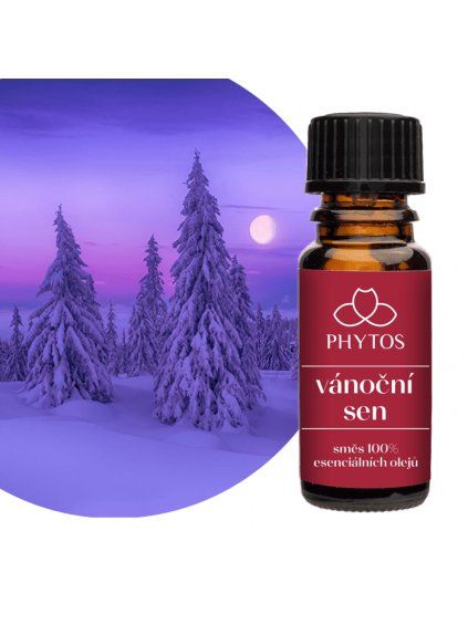 vanocni sen 1 700x700 2