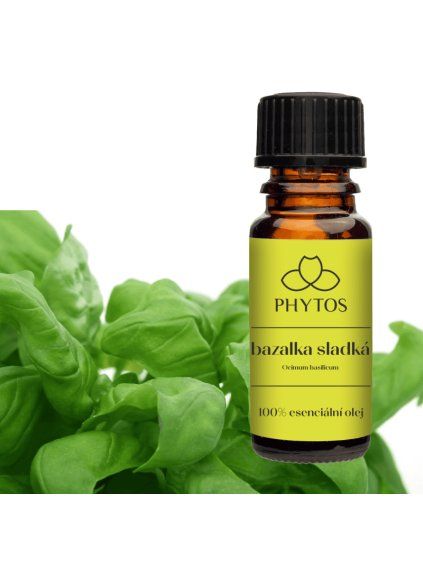 bazalka sladka pozadi phytos cz