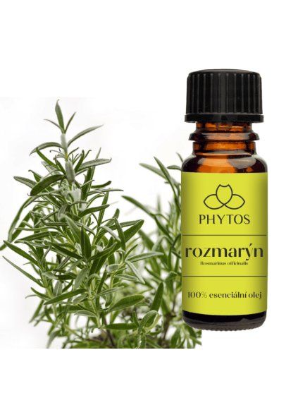 rozmaryn pozadi phytos cz