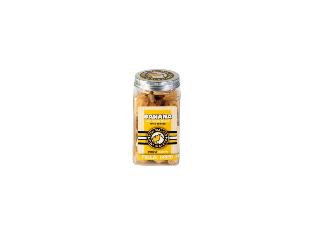90729 1 133810 pochoutka mrazem suseny banan 70g kiwi