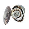 singularity premium colorchart 1000x1000 96dpi