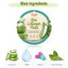 PD%20Collagen%202