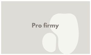 pro firmy