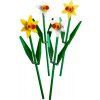 LEGO® 40646 Narcisy