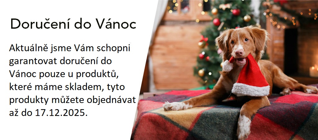 Doručení do Vánoc