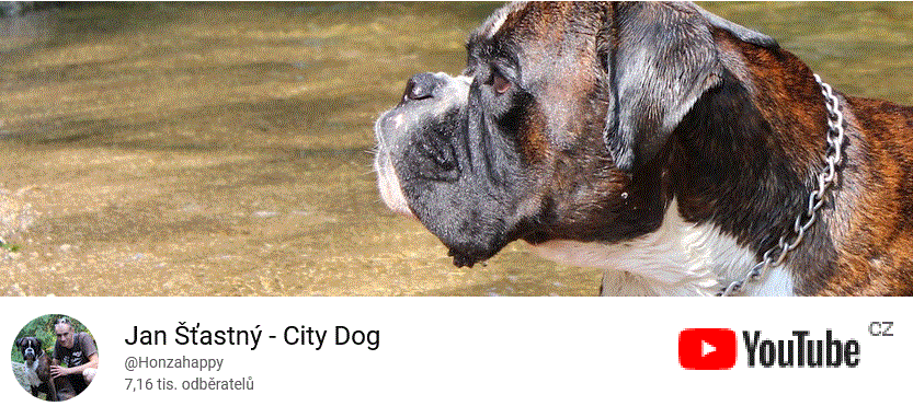 Jan Šťastný - City Dog