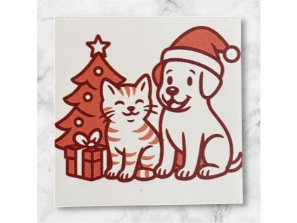 Photoroom 20251116 130020