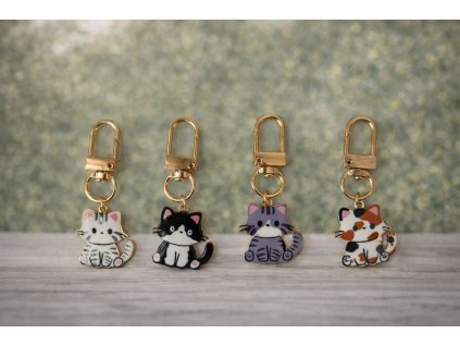 1546523E CFC5 41A8 87E5 18DCEC75000F