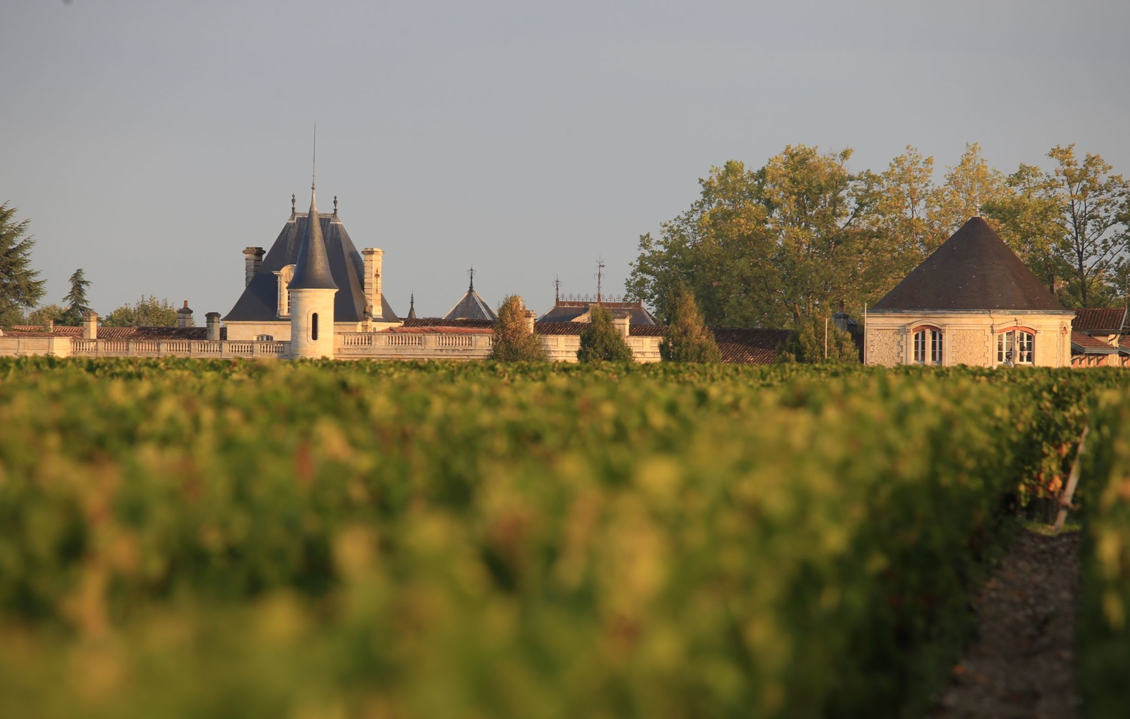 5109722-1515292_0_0_2800_1783_2200_1400