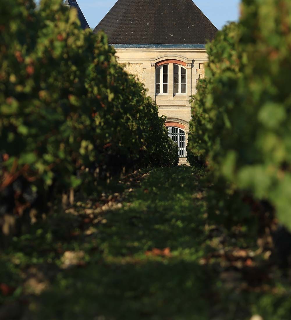 5109723-1515293_0_0_1000_1100_1000_1100