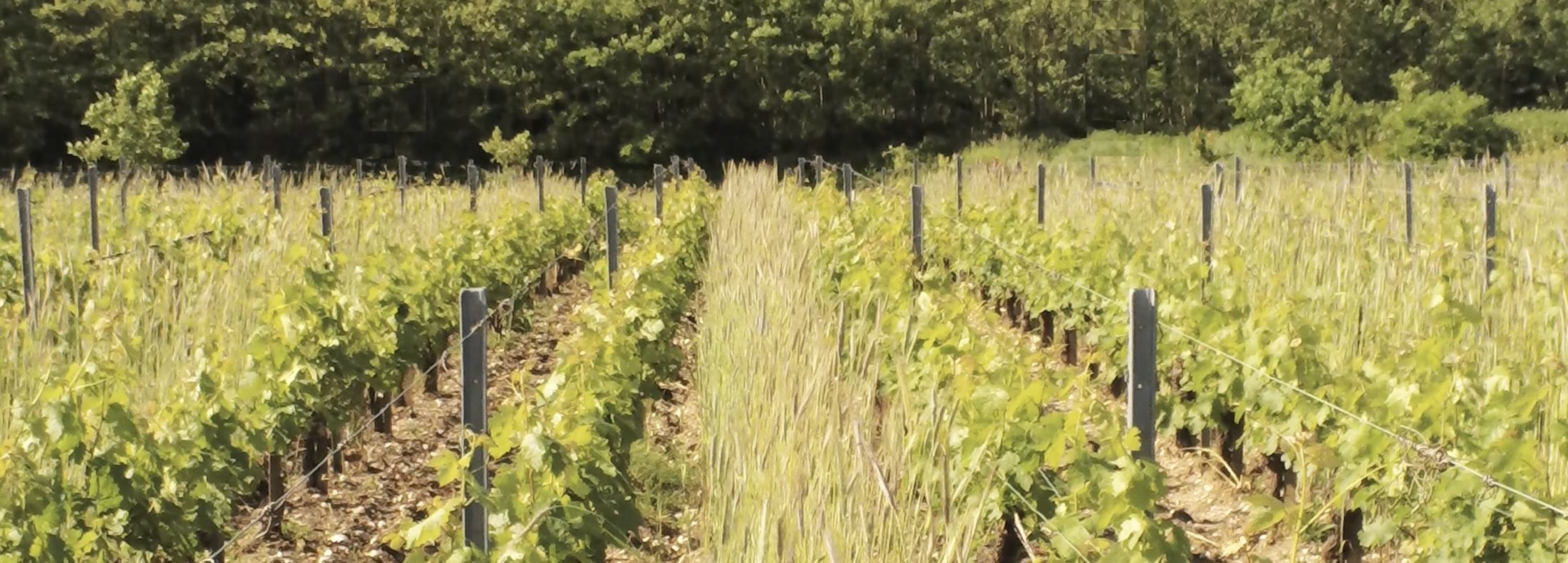 5144947-1522222_0_60_2876_1035_2200_790