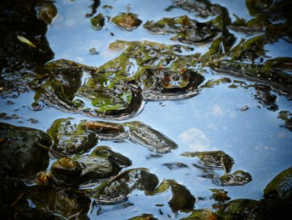 SvetVeSvete Upraveno