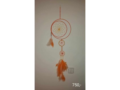 379301497 1213181592687132 5481947457468835761 n