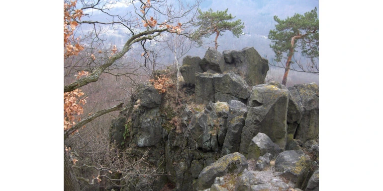 Přírodní magnet – magnetovec