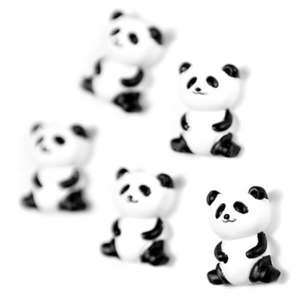 5878 magnetky na lednici panda medvidci 5 ks