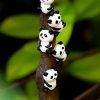 5878 2 magnetky na lednici panda medvidci 5 ks