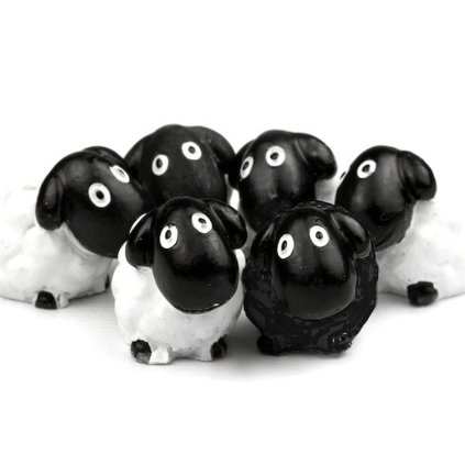 5842 magnetky na lednici ovecky 6 ks