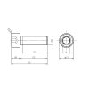 5659 1 nerezovy sroub m8x25 valcova hlava inbus