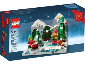 LEGO® 40564 Zimní dobrodružství elfů
