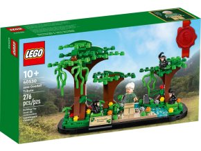 LEGO® 40530 Pocta Jane Goodallové