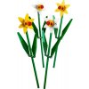 LEGO® 40646 Narcisy