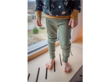 2675 8 leginy zebro klasik