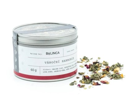 Snímek obrazovky 2024 10 22 103230