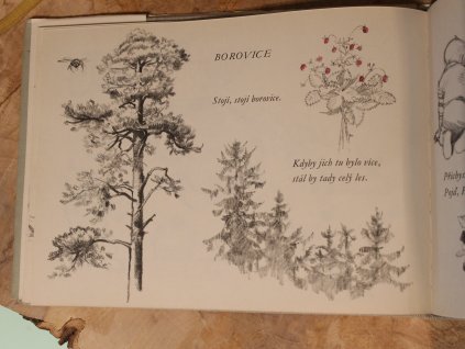 Kytička z náčrtníku, Fr. Hrubín & A. Zábranský