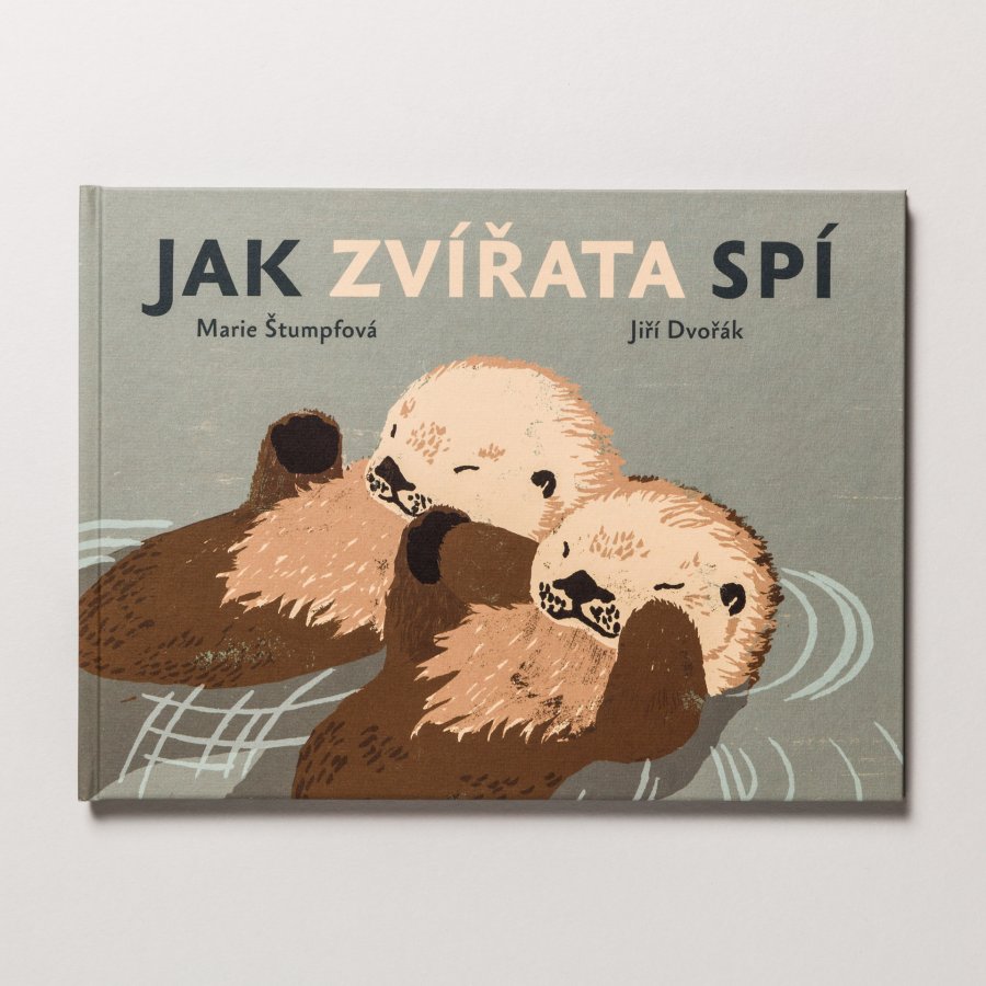 Jak zvířata spí, Jiří Dvořák