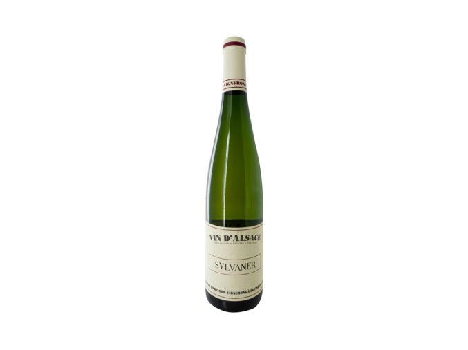 Sylvaner