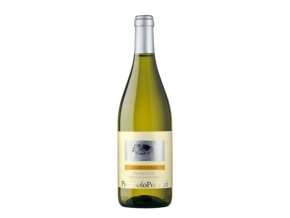 chardonnay pierpaolo pecorari 2021 41472 zoom