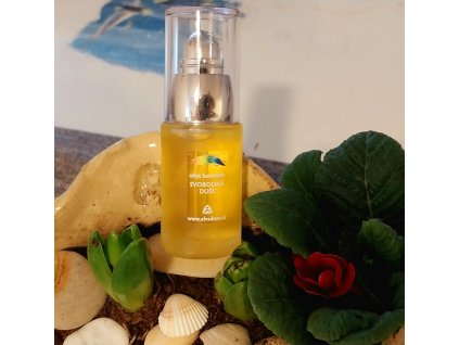 SVOBODNÁ DUŠE - soul song singer