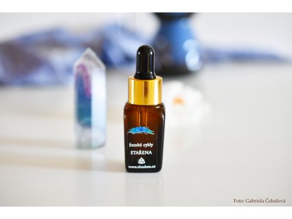 CYKLICKÝ OLEJ - Stařena