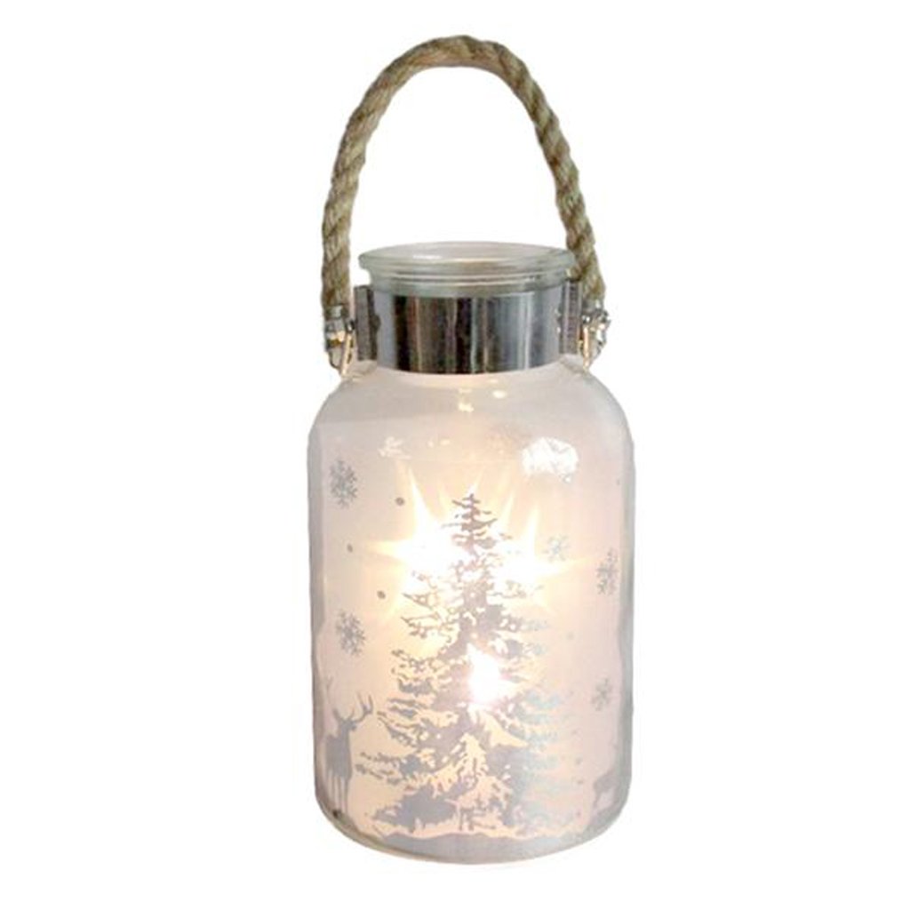BOTTLE DECORATIVE 5 LED CHRISTMAS , 2 ASSORT