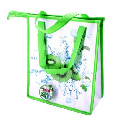 ZIPPERED COOLER BAG KIWI 33X28X13CM