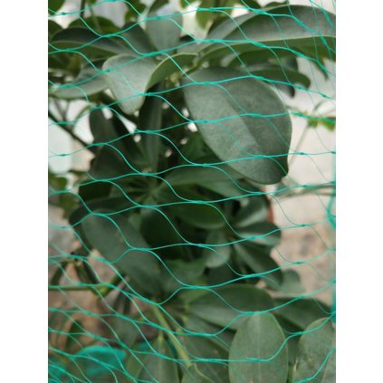 BIRD NET 4X10M, MESH 2X2CM, POLYETHYLENE