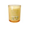CANDLE IN GLASS YELLOW LEMON LIME7.9X10.6CM 230G