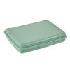 SNACK BOX 17X13X3,5 NORTHERN GREEN