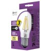 BULB LED FLM A60 A++ 6W E27 WW
