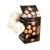 Christmas string lights, 10 LED feather balls, with timer, 1.35 m