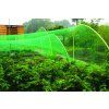 SÍŤ PROTI PTÁKŮM 4X10M, OČKA 2X2CM, POLYETHYLEN